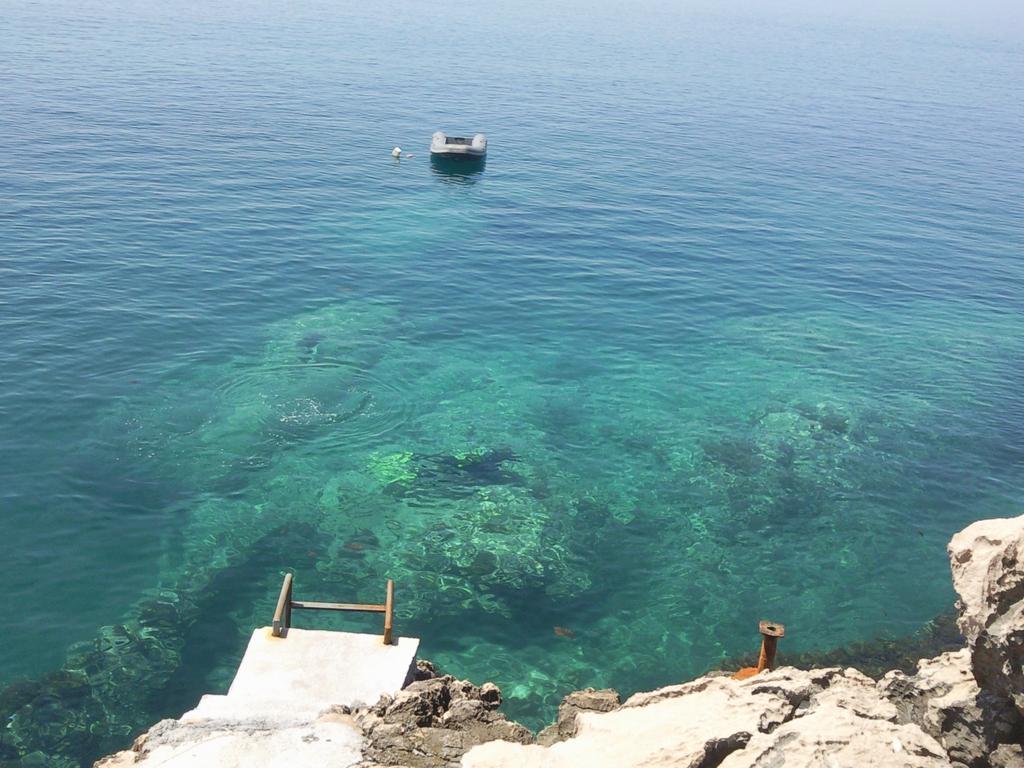 Vila Dora دوبرا فوفا المظهر الخارجي الصورة